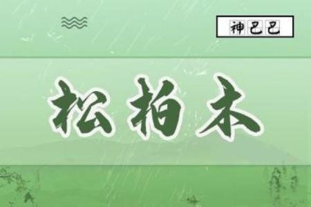 探寻柏树的命理奥秘：象征与寓意的深邃思考