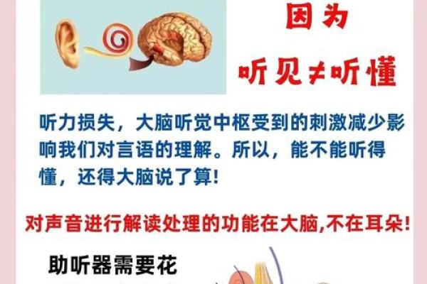 右耳会动的人有什么命运？探索耳朵运动背后的神秘含义