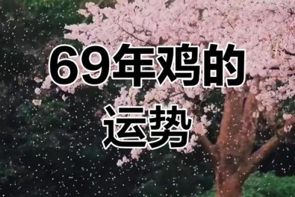 1949年属鸡人的命运与性格探秘