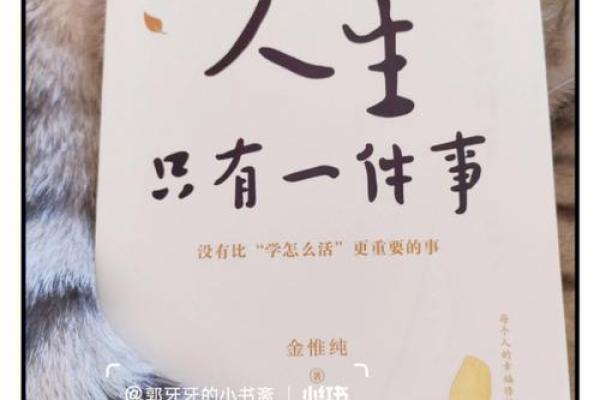 1980年火命的特质与人生哲学探讨