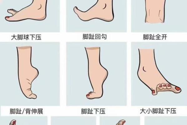 女人脚掌宽度与命运的关系探讨
