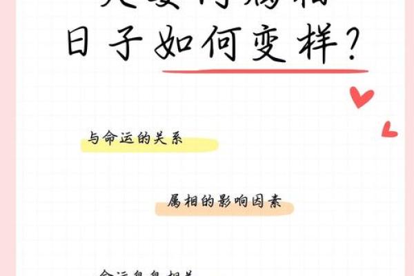 26岁属什么命？2023年属相与命运的迷思解密！