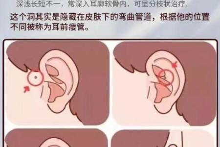 右耳会动的人有什么命运？探索耳朵运动背后的神秘含义