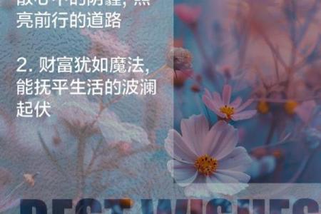 命图回响丰饶：探寻生命的财富与智慧