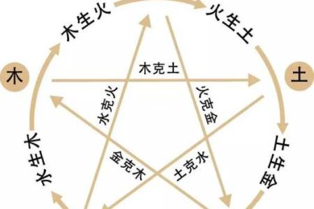 旺火命的人与颜色的奇妙关系探秘