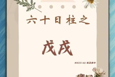 戊戌日对哪些命格最为吉利？探索命理奥秘与个人运势