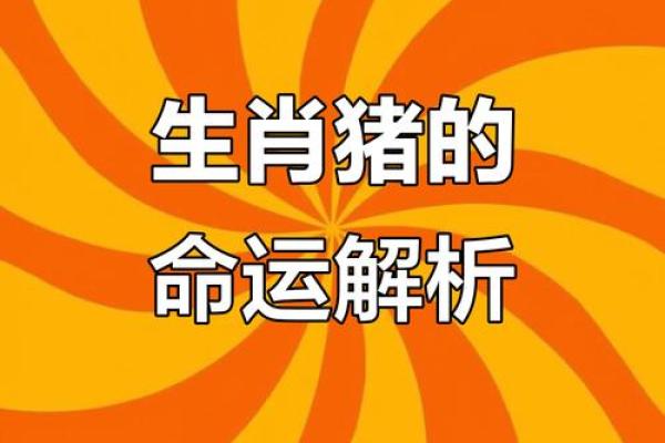 辛亥猪年生人的命运：探索1971年出生者的性格与运势