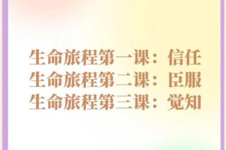 命运与选择：解读62年生人的生命之旅与360度人生观