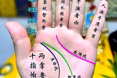 揭秘女命七杀命格：独特性格与命运之路的深度解析