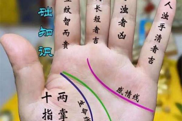 命占桃花手相：解读你的爱情运势与魅力潜质