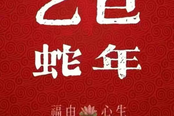 2013年属蛇的人生运势与命理探索