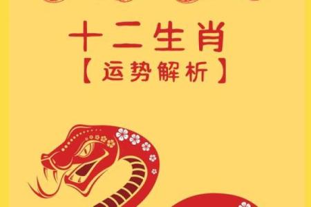 2013年属蛇的人生运势与命理探索