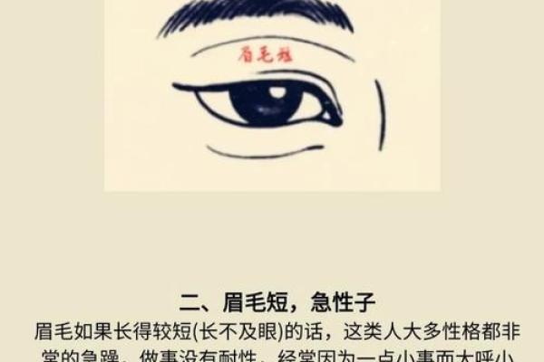 眼眉浅的人是什么命，探索性格与命运的奥秘！