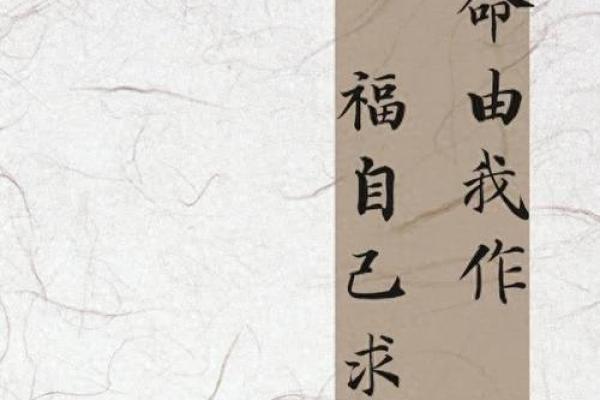 本是什么命，志在何方：探寻人生的意义与追求
