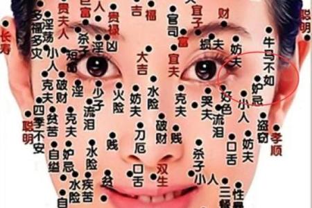 眼眉浅的人是什么命，探索性格与命运的奥秘！