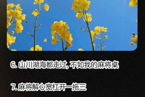 为何我选择不打牌，寻找生活更深层次的意义