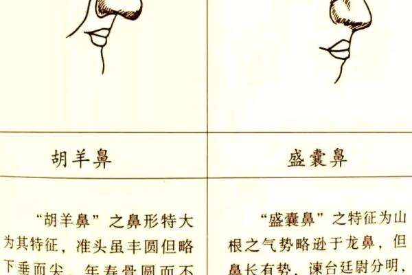 没有鼻梁男生的命运揭秘：从外貌到内心的故事