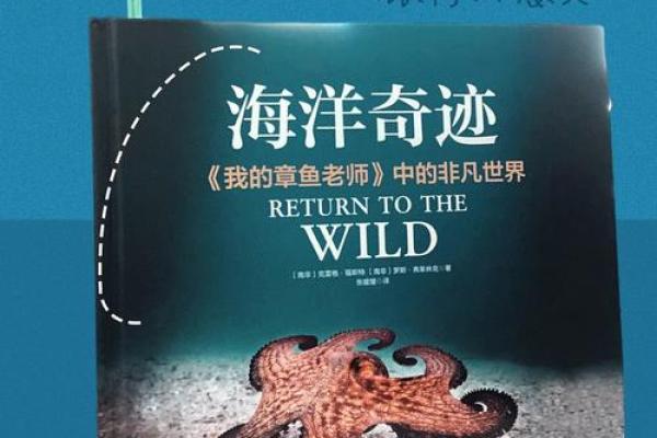 幸福的奇迹：为何嫁给他会改变命运的全局