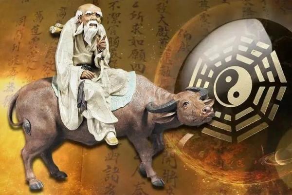 手背露青筋，揭示生命奥秘与命运走向