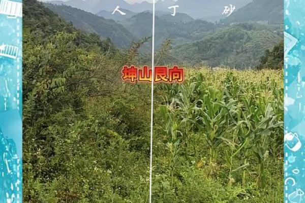 犯命坐山的后果：风水与命理中的隐秘联系