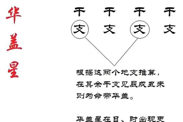揭示1932年出生者的命格特点与生活智慧