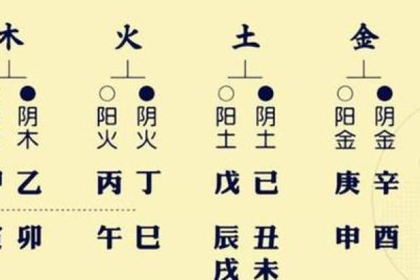 2012年水命解析：探索八字命理与生活智慧的结合