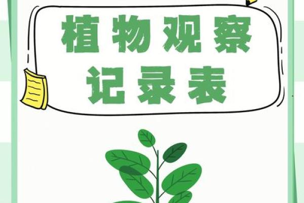 探秘“几条命”的说法：生命的奇妙与深刻意义