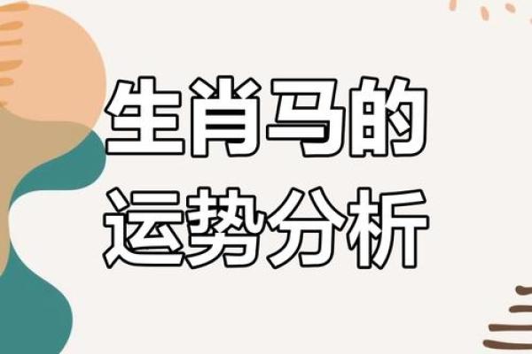 2020年属马人命运解析：奔腾向前的生命之旅