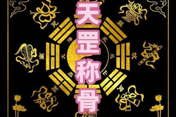 三两九钱男命：解密命理与人生之路