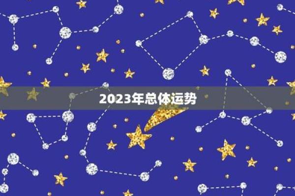 1991年出生的你，2023年运势如何？命运解码！