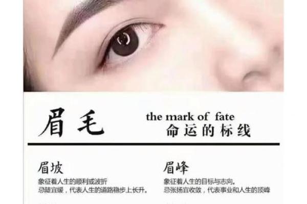 美貌与命理：探寻面容背后的命运密码