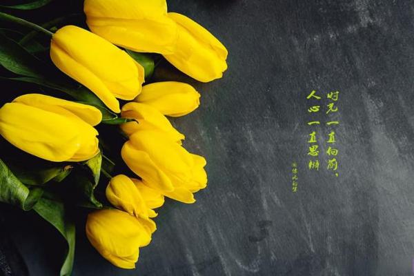 委命下史的命：古人如何认识命运与人生的关系