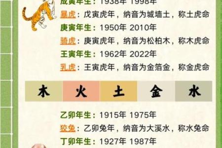 解析猪年酉时出生的命格，揭开人生奥秘与未来发展