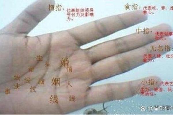 算命手相的奥秘：如何通过手相解读你的命格与未来