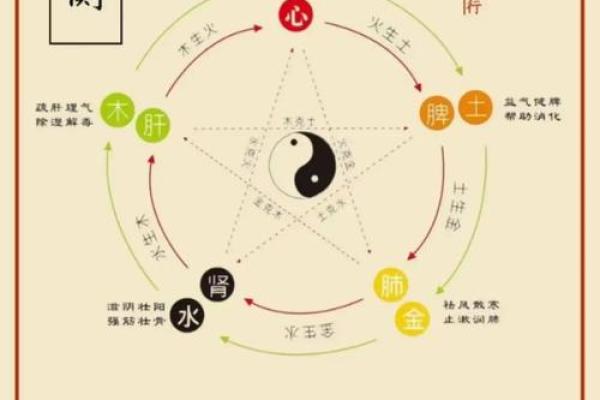 杨柳木命的五行属性与人生运势解析