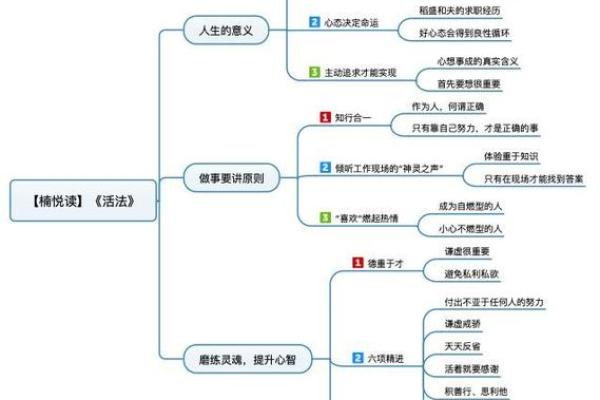 深入探讨“休命”的含义与生活中的哲学智慧