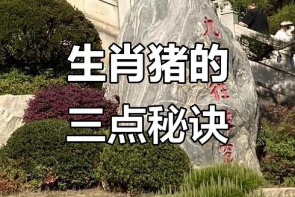 1983年属猪人的命运解析：聪慧与机遇的结合