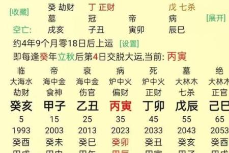 探索八字命理：揭秘你的命星特性与生活运势
