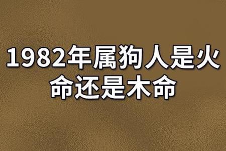 一九九四年狗年出生的人：命运与个性的全面解析