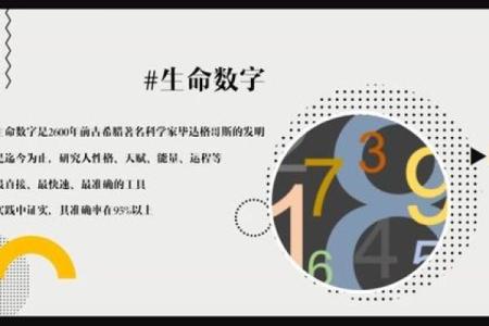 云龙之命：解密命格中的神秘力量与人生方向