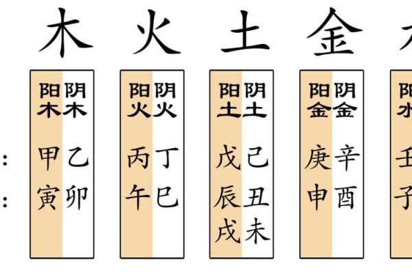 丙寅辛卯男命格解析：探索命运的深层含义与生活指南