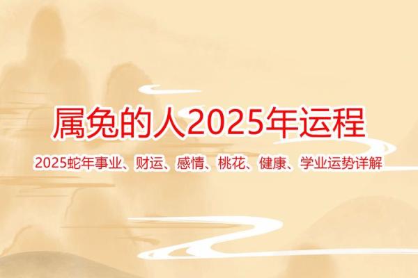 探寻12年兔命的神秘与魅力：解读生肖兔的性格与人生轨迹