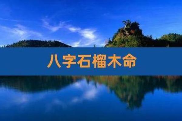 剑锋金命与石榴木命的命理分析与生活启示
