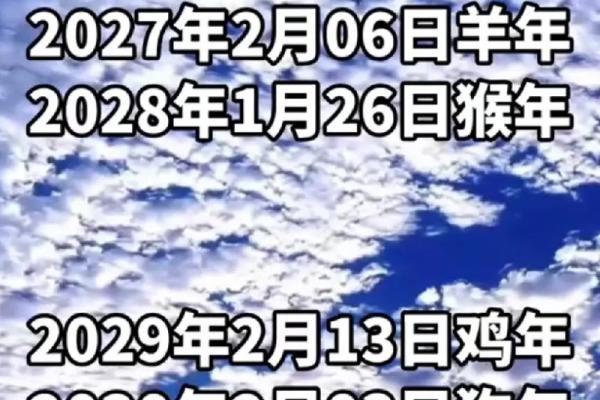2031年，猪年命运解析：财富、事业与爱情的全新篇章