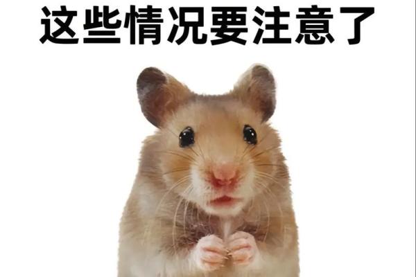 宠物健康危机：九种疾病让我们无能为力！