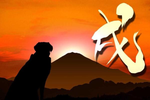 揭秘36属大龙命运的奥秘：你的生肖与命运的深度联系！