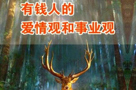2031年，猪年命运解析：财富、事业与爱情的全新篇章