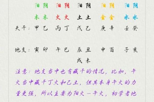命理之道：探究一命二运的深刻内涵与启示