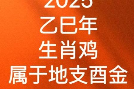 77岁属鸡的人生命运与运势探讨：揭开命理的神秘面纱