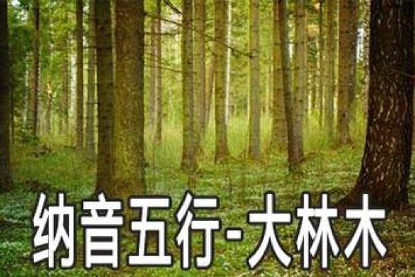 大林木命人最适合的五种元素及其生活指南